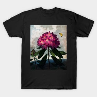 Botanical Art Temple Of Flora Rhododendron T-Shirt